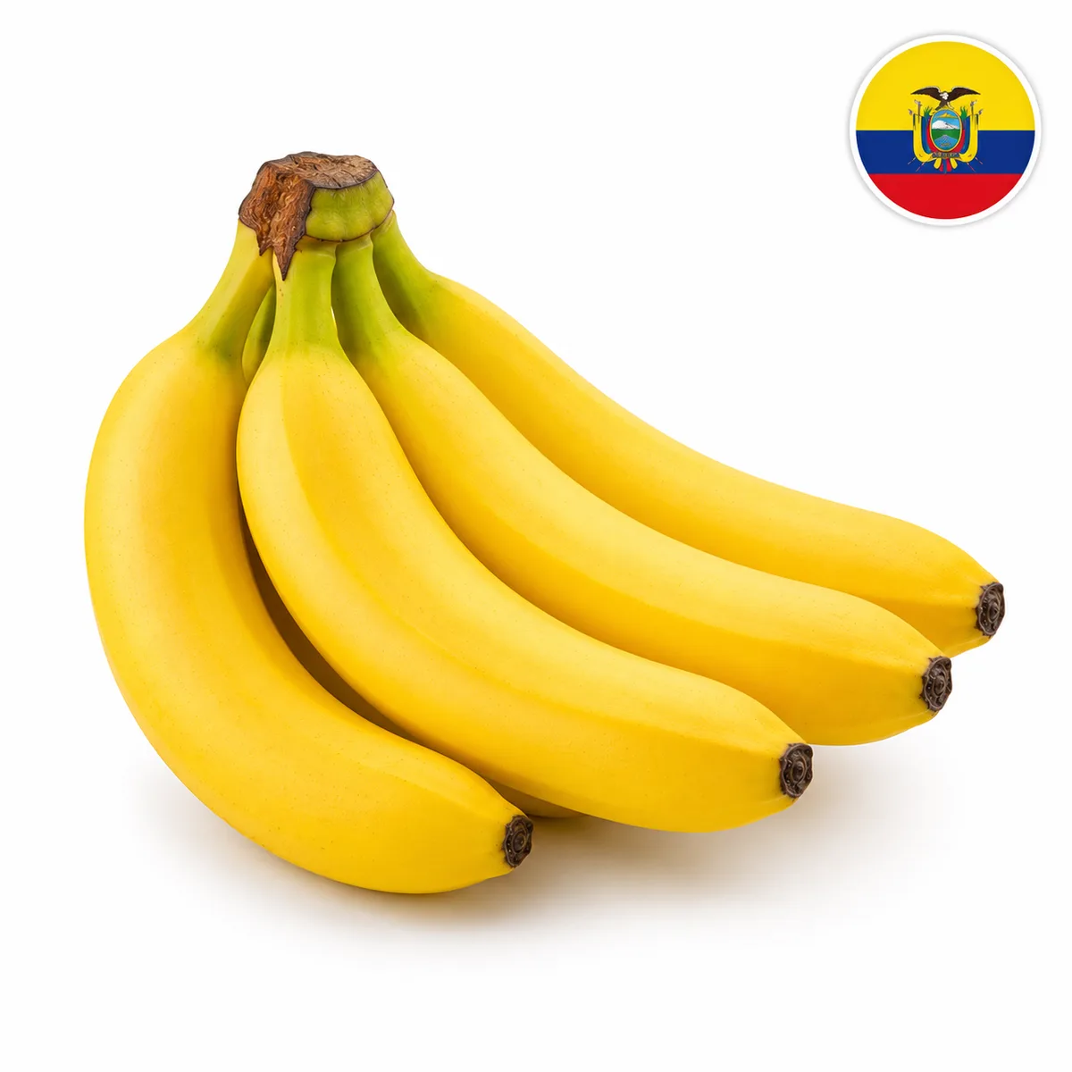 Banana Sabrostar