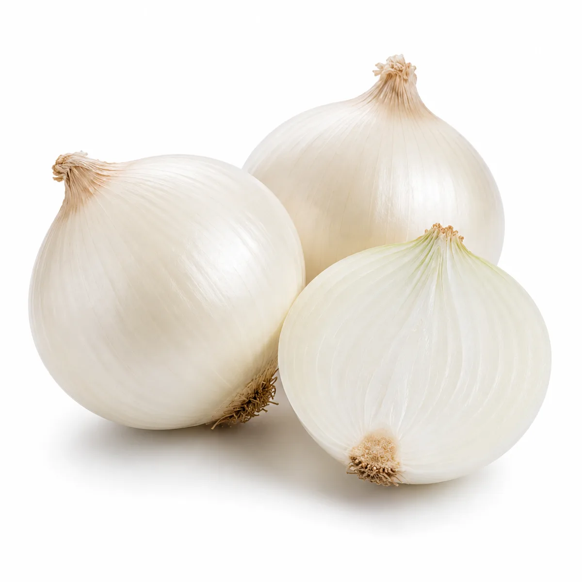 Cebolla Blanca